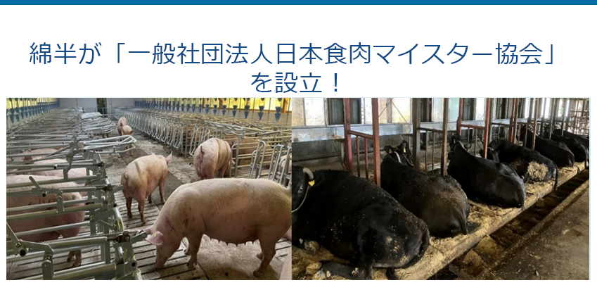 綿半が「一般社団法人日本食肉マイスター協会」を設立！