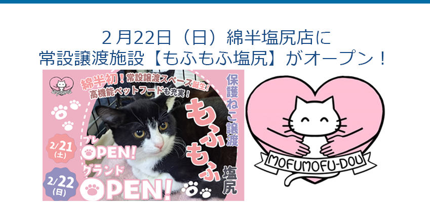 ２月22日（日）綿半塩尻店に常設譲渡施設【もふもふ塩尻】がオープン！